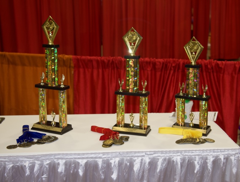 https://iris.siue.edu/math-literacy-archive/files/bulk/2019MathFestival_367.jpg https://iris.siue.edu/math-literacy-archive/files/bulk/2019MathFestival_367.jpg
